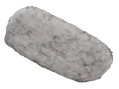 带种子的长方形黑麦面包 3D 模型