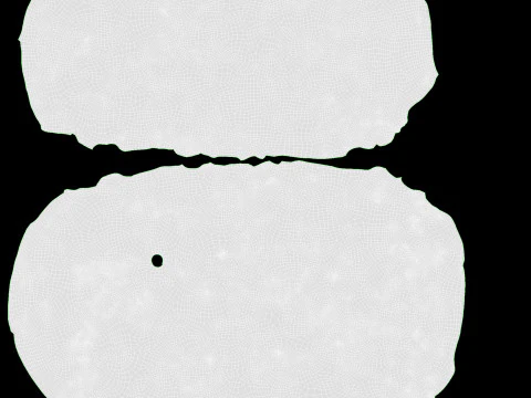 带种子的长方形黑麦面包 3D 模型