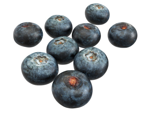 Blueberries 3D Model
