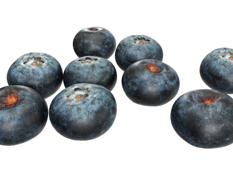Blueberries 3D Model
