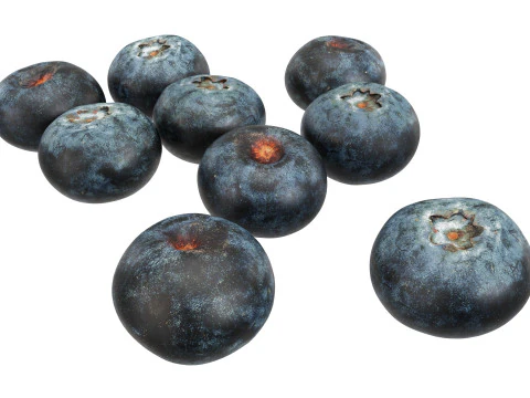 Blueberries 3D Model