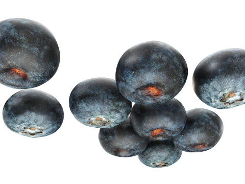 Blueberries 3D Model