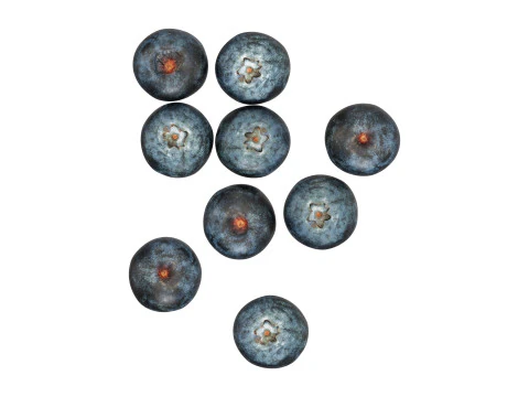 Blueberries 3D Model