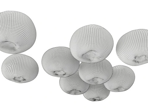 Blueberries 3D Model