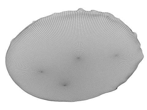 Pizza with mozzarella 3D Model