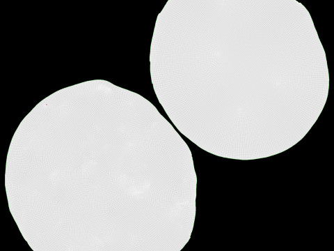 Pizza with mozzarella 3D Model