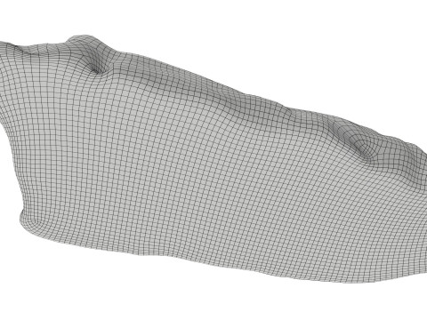 Raw meat steak 01 Model 3D