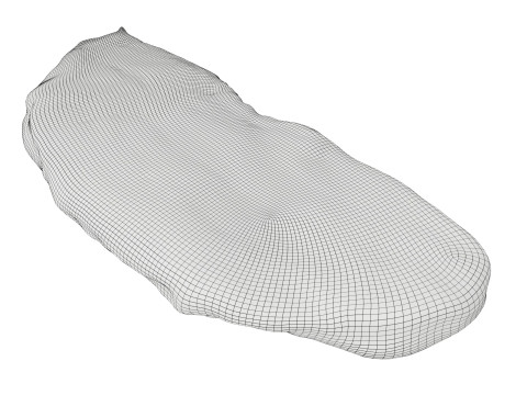 Raw meat steak 02 3D Model