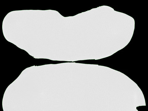 Rauw vleesbiefstuk 02 3D Model