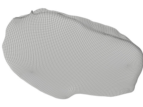 Raw meat steak 03 Model 3D