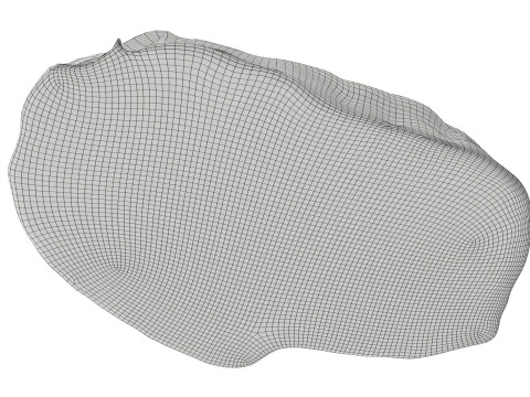 Steak daging mentah 03 Model 3D