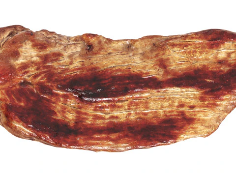 Roasted meat steak 02 3D Model