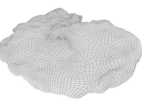 Bistecca di carne arrosto 03 Modello 3D