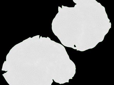 Bistecca di carne arrosto 03 Modello 3D