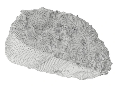 Roll cake with cream filling piece 3D Model