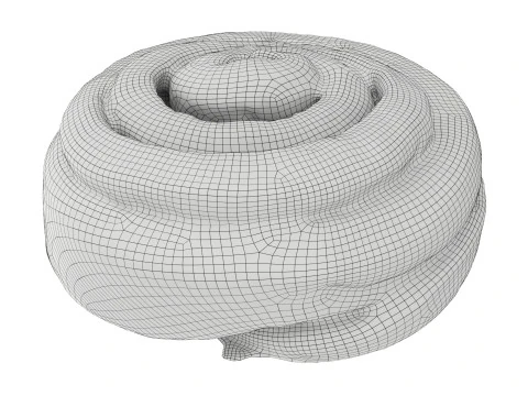 Sweet roll with cinnamon 3D Model