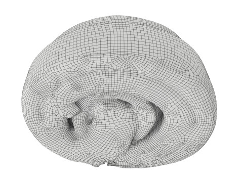 Sweet roll with cinnamon Modelo 3D