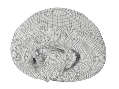 Sweet roll with cinnamon 3D Model