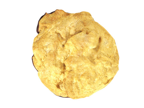 Triple choko cookie 02 3D 모델
