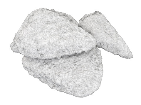 Chicken cutlets with cut in crispy breadcrumbs Model 3D