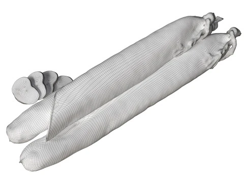 Lingui&ccedil;a seca longa inteira e fatias 01 Modelo 3D