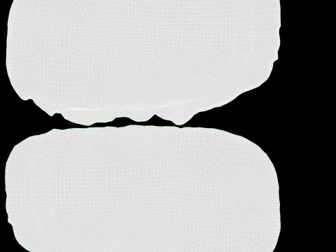 Prosciutto affettato con confezione 02 Modello 3D