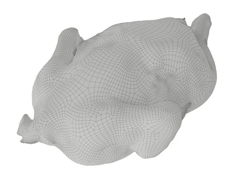 Smoked chicken whole 3D Model