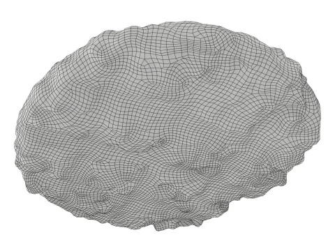 Beef cutlet roasted 3D Model