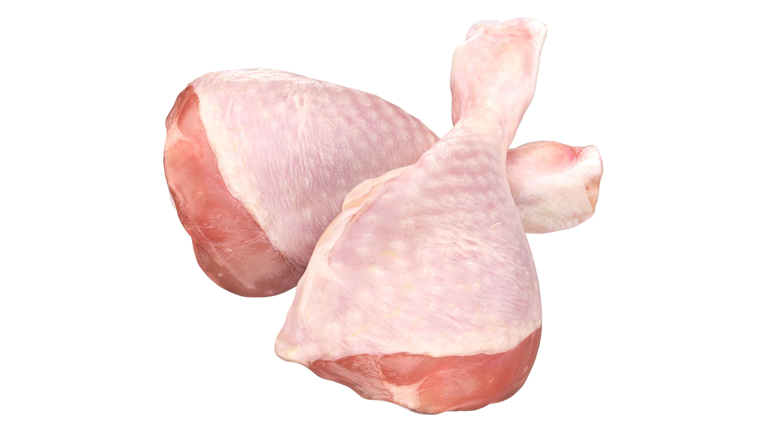 Chicken leg drumstick raw 3D Model .c4d .max .obj .3ds .fbx .stl .blend 