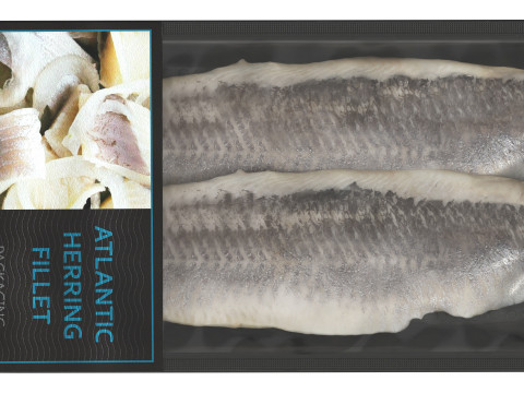 Herring fillet in packaging 3D 모델