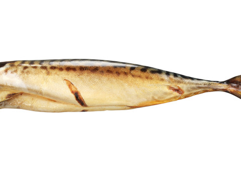 Smoked mackerel 3Dモデル
