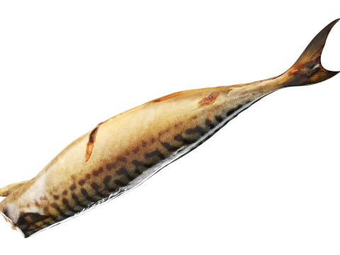 Smoked mackerel 3Dモデル