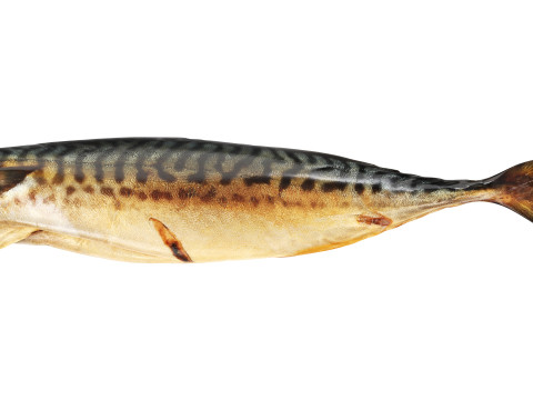 Smoked mackerel 3Dモデル
