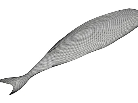 Gerookte makreel 3D Model