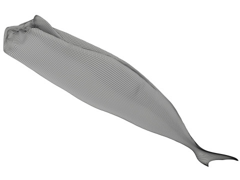 Smoked mackerel 3Dモデル