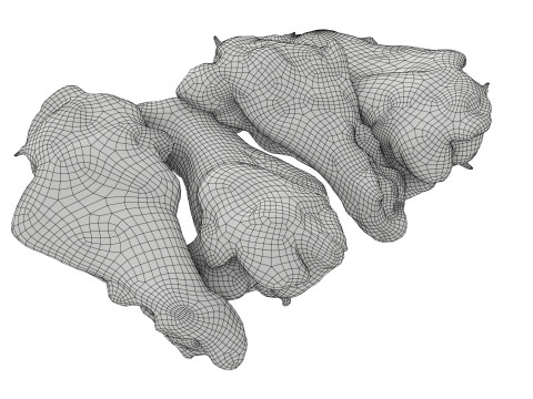 Smoked small chicken leg in packaging 01 Modello 3D