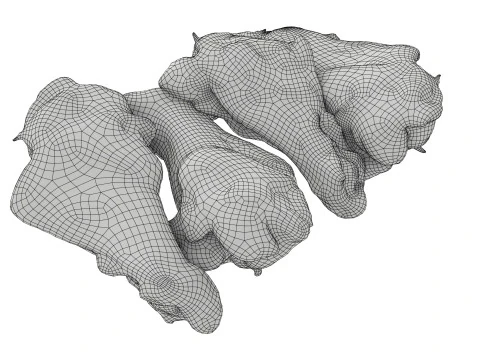 Smoked small chicken leg in packaging 01 3D Model