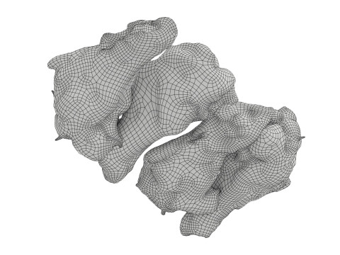 Smoked small chicken leg in packaging 01 Modello 3D