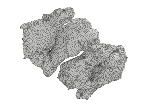 Smoked small chicken leg in packaging 01 3D Model