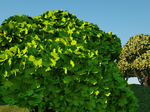 a pack of 10 trees Modèle 3D