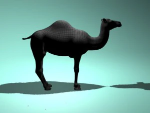 camel 3D Model