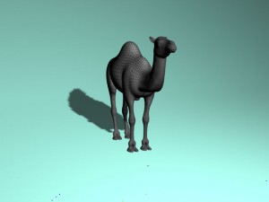 camel Modello 3D