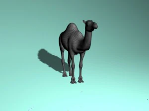 camel 3D Model