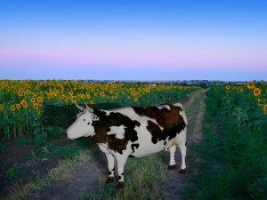 Cow 3D Model