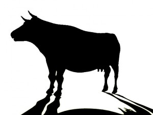 Cow 3D Model