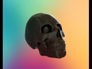 crystal skull 3D Модель