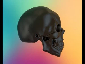 crystal skull 3D Model