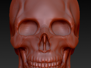 crystal skull 3D Модель