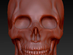 crystal skull 3D Model