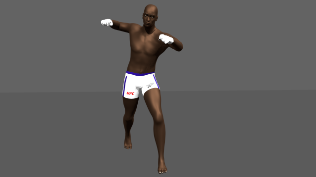 character ufc 3D Model .c4d .max .obj .3ds .fbx .stl .blend 